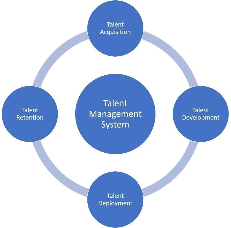 The-Components-of-a-Talent-Management-System-Researcher-Derived